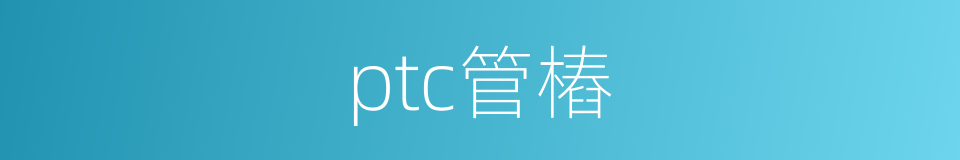 ptc管樁的同義詞