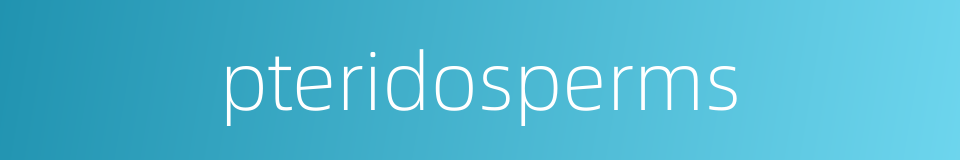 pteridosperms的同义词