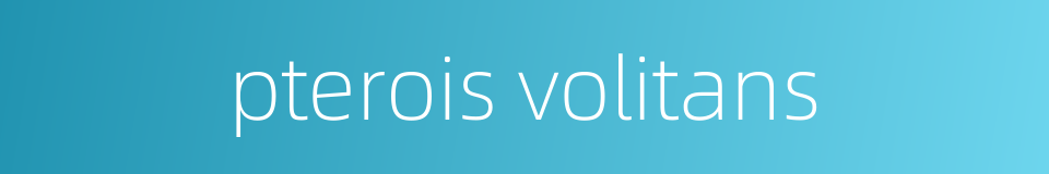 pterois volitans的同义词