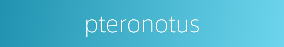 pteronotus的同义词