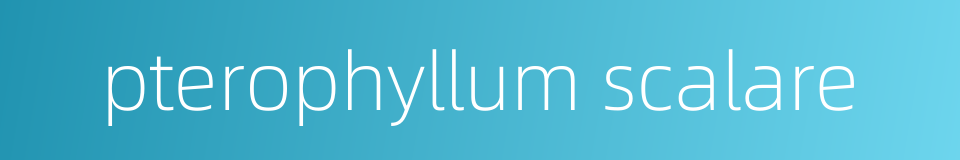 pterophyllum scalare的同义词