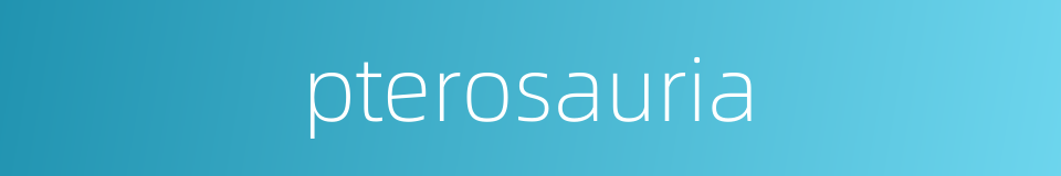 pterosauria的同义词