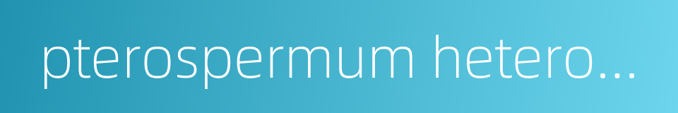 pterospermum heterophyllum的同义词