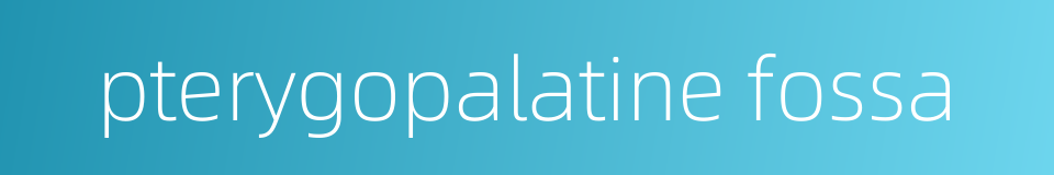 pterygopalatine fossa的同义词