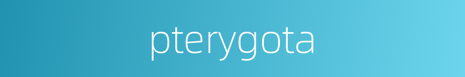 pterygota的同义词