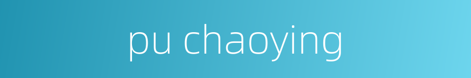 pu chaoying的同义词