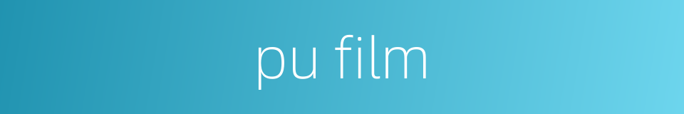 pu film的同义词