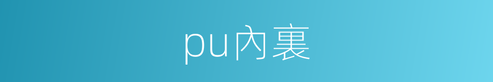 pu內裏的同義詞