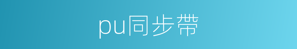 pu同步帶的同義詞