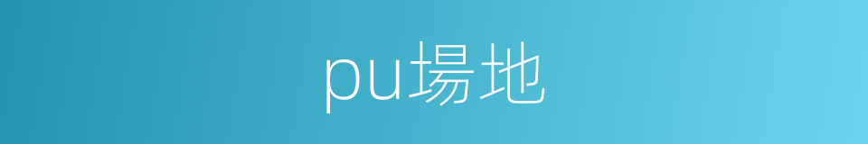 pu場地的同義詞