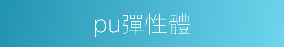 pu彈性體的同義詞