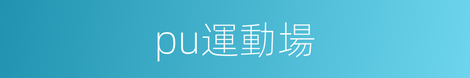 pu運動場的同義詞