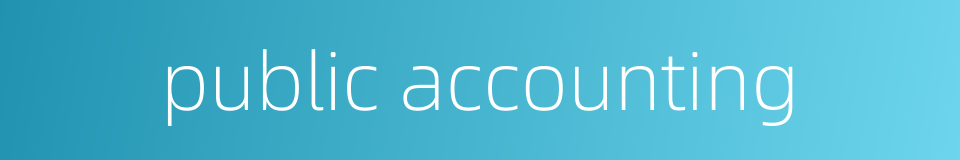 public accounting的同义词