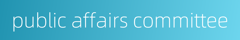 public affairs committee的同义词