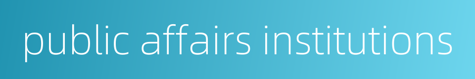 public affairs institutions的同义词