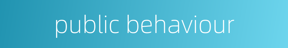 public behaviour的同义词