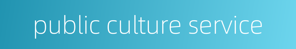public culture service的同义词
