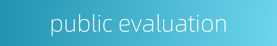 public evaluation的同义词