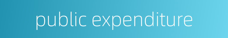 public expenditure的同义词