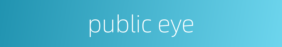 public eye的同义词
