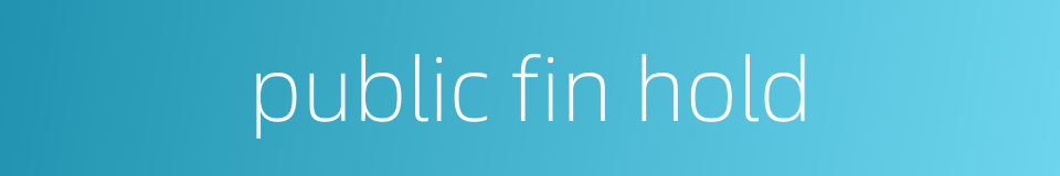 public fin hold的同义词