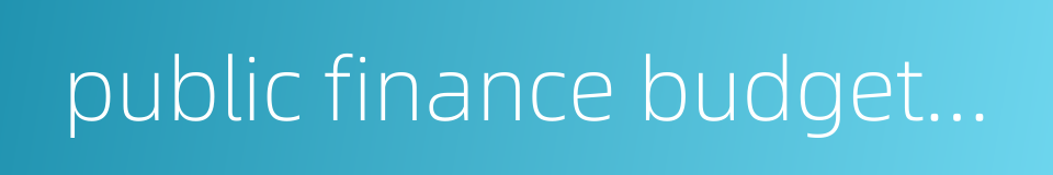 public finance budgetary accounting的同义词