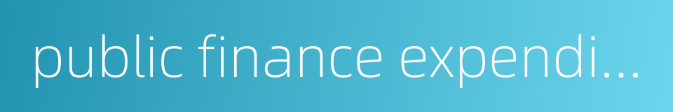 public finance expenditures的同义词
