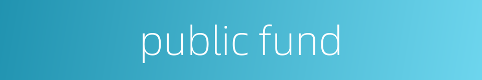 public fund的同义词