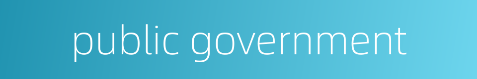 public government的同义词