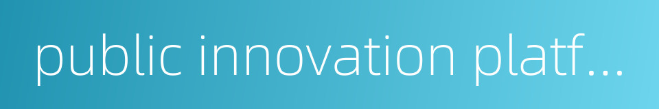 public innovation platform的同义词