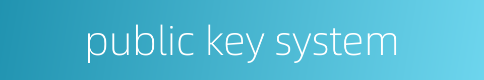 public key system的同义词