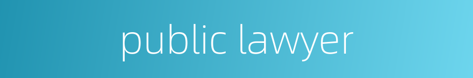 public lawyer的同义词