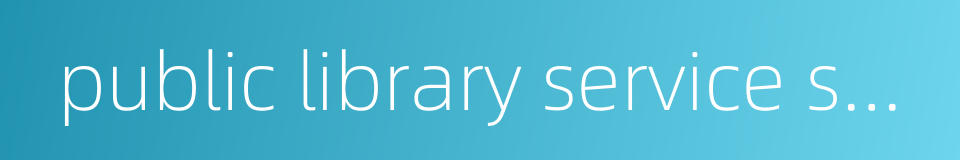 public library service system的同义词