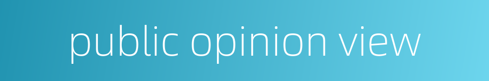 public opinion view的同义词