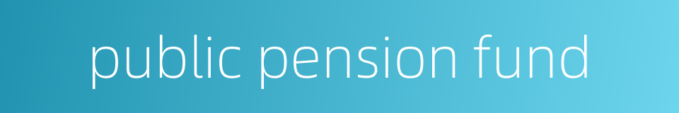 public pension fund的同义词
