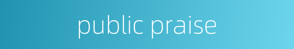 public praise的同义词