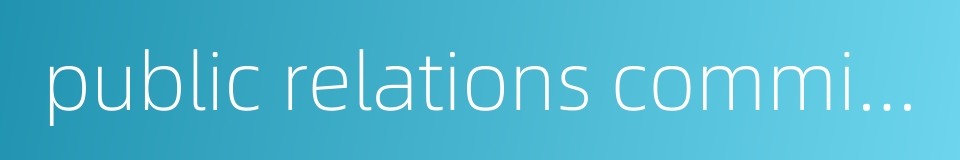 public relations commissioner的同义词