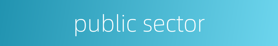 public sector的同义词