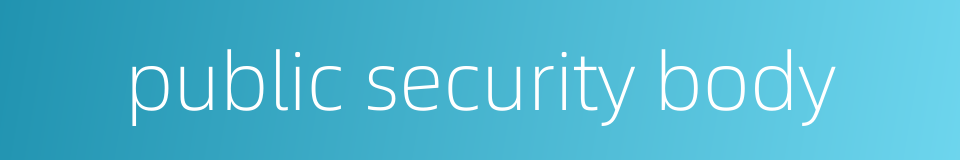 public security body的同义词
