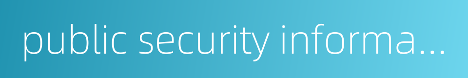public security informationization的同义词