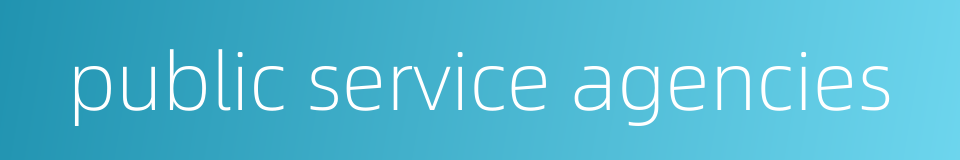 public service agencies的同义词