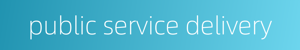 public service delivery的同义词