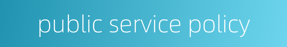 public service policy的同义词