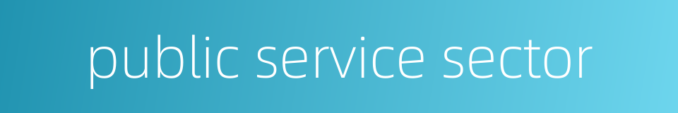 public service sector的同义词