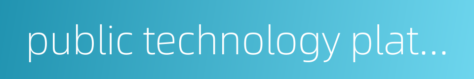 public technology platform的同义词