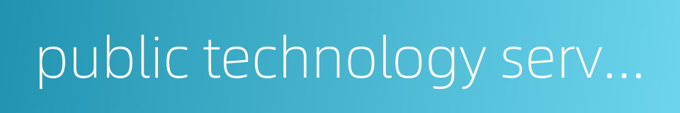 public technology service platform的同义词