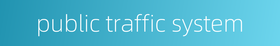 public traffic system的同义词