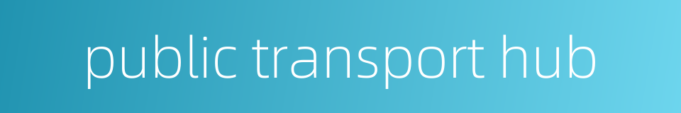 public transport hub的同义词