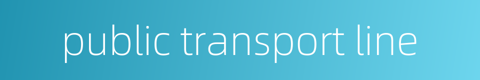 public transport line的同义词