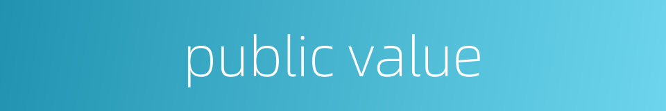 public value的同义词
